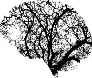 How Mental Health Has Become a Major Concern in Todays World