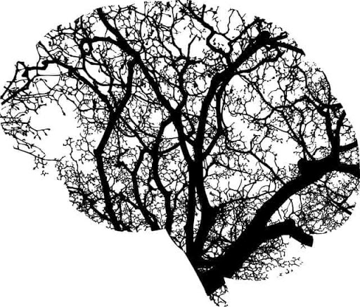 How Mental Health Has Become a Major Concern in Todays World